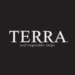 terrachips 프로필 사진