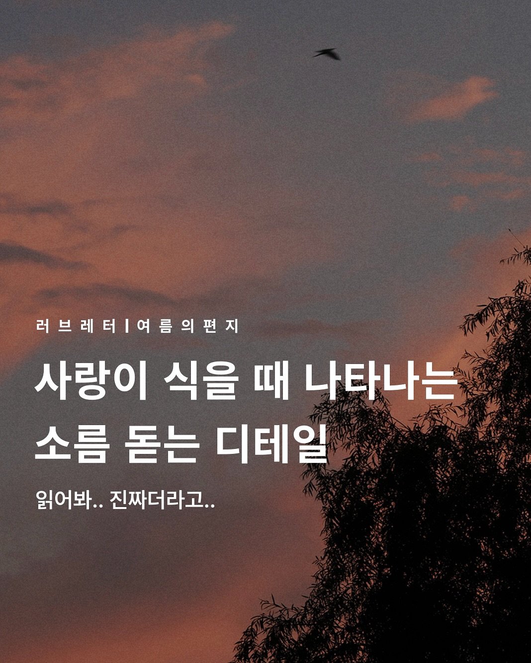 Photo by 러브레터 on September 26, 2025. May be an image of text that says '러브레터여름의편지 사랑이 식을 때 나타나는 소름 돋는 디테일 읽어봐.. 진짜더라고..'.