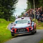 brutal_rallycar 프로필 사진