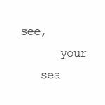 seeyourseabooks 인스타그램 프로필 사진