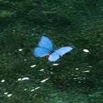 nuungle 프로필 사진