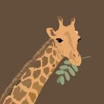 kirin.cookie 프로필 사진