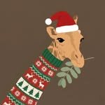 kirin.cookie 프로필 사진