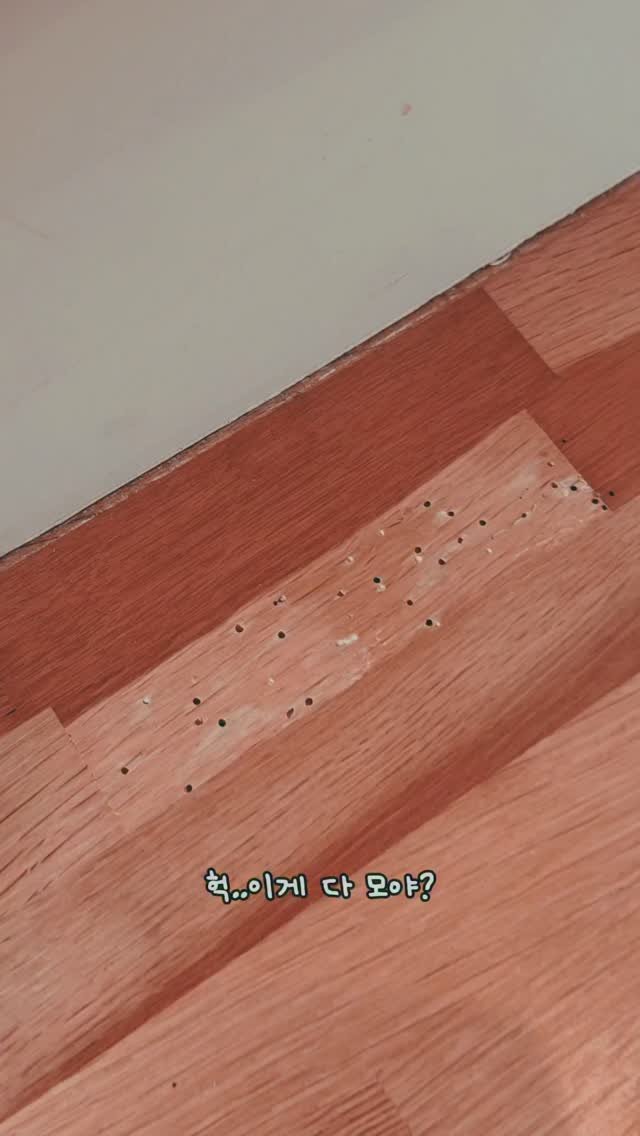 selly__home 게시물 이미지: #공구오픈

프로필 링크에서 바로 구매가능합니다🧡

예전에 아파트 살 때
2년 정도...