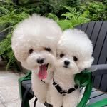 _add.awesome 프로필 사진