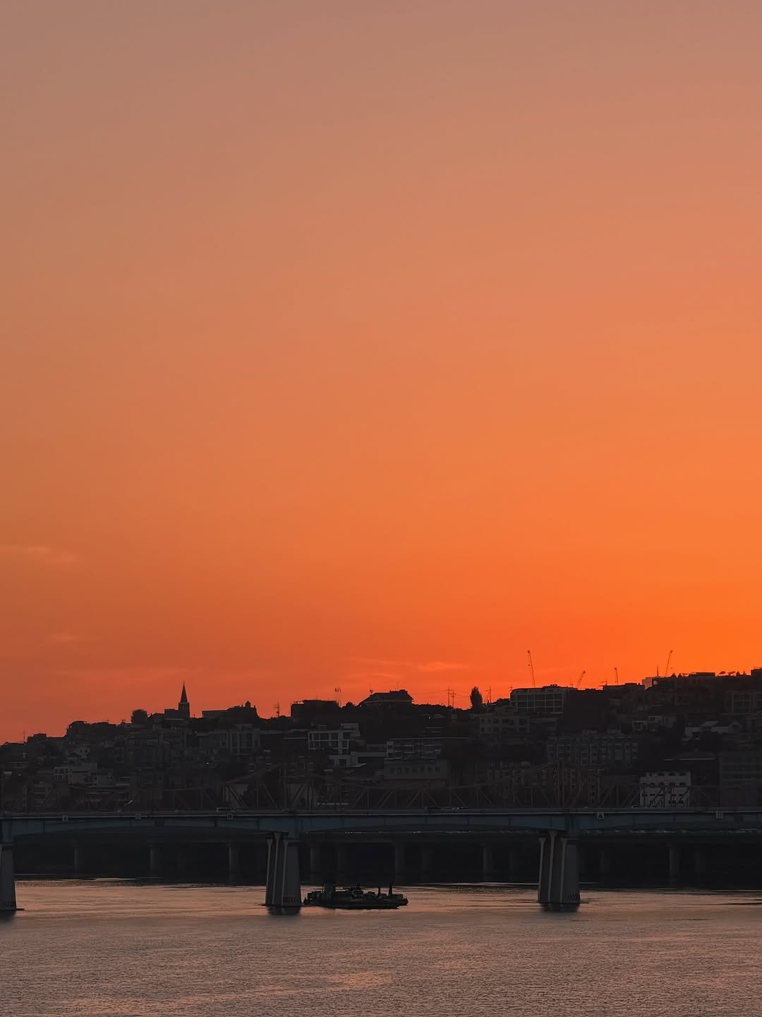 Photo by 김 남희 on October 21, 2025. May be an image of sparrow, the Arno River, suspension bridge and text.