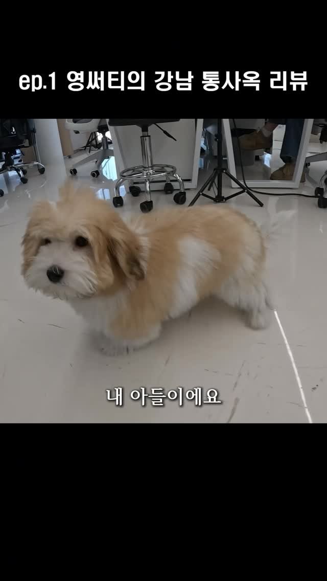 sentimental624 게시물 이미지: ep.1 영써티의 피엔스튜디오 강남 통사옥 리뷰 
feat. @kimpien_