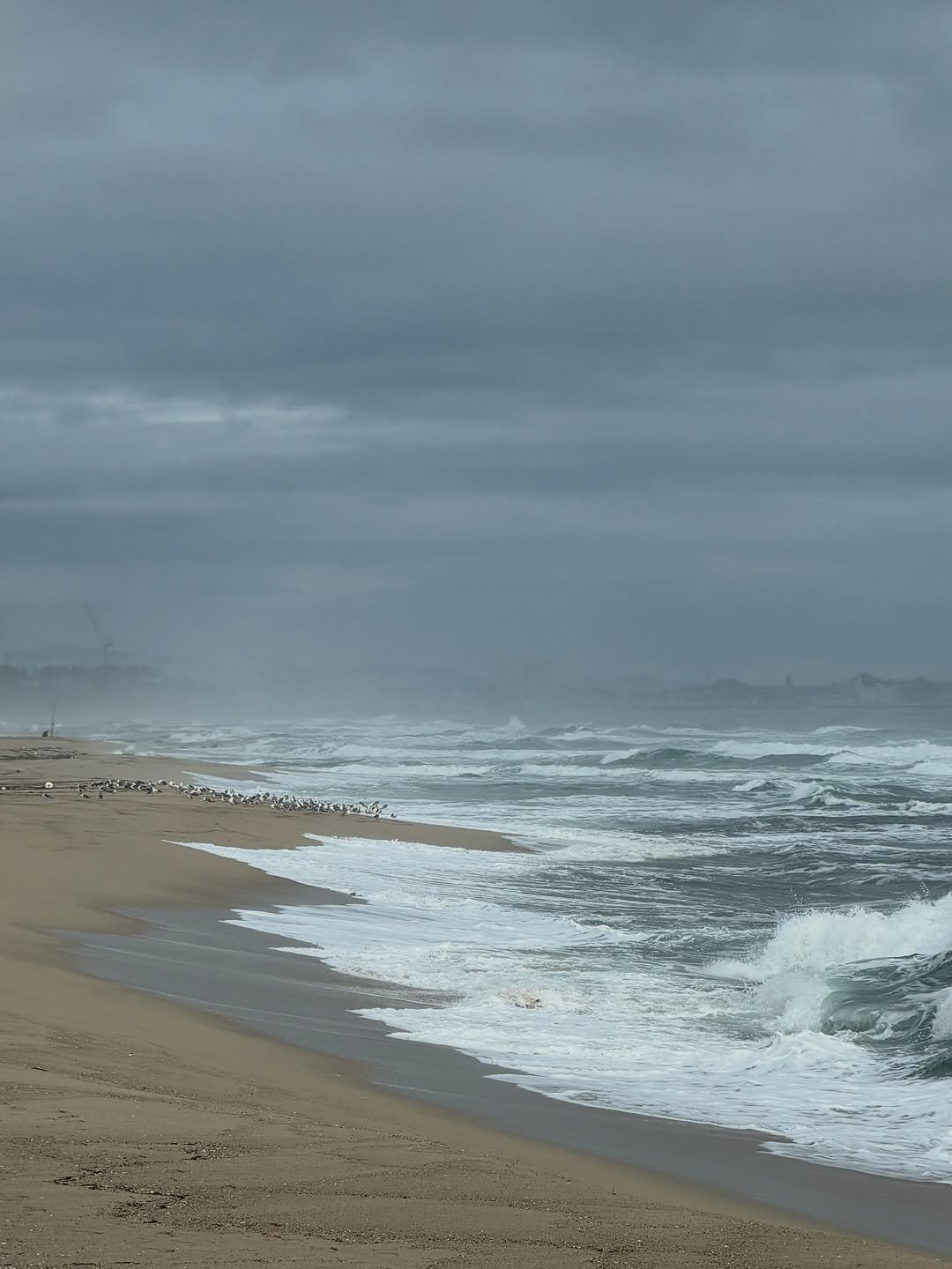 Photo by 김 남희 on October 20, 2025. May be an image of coast and text.