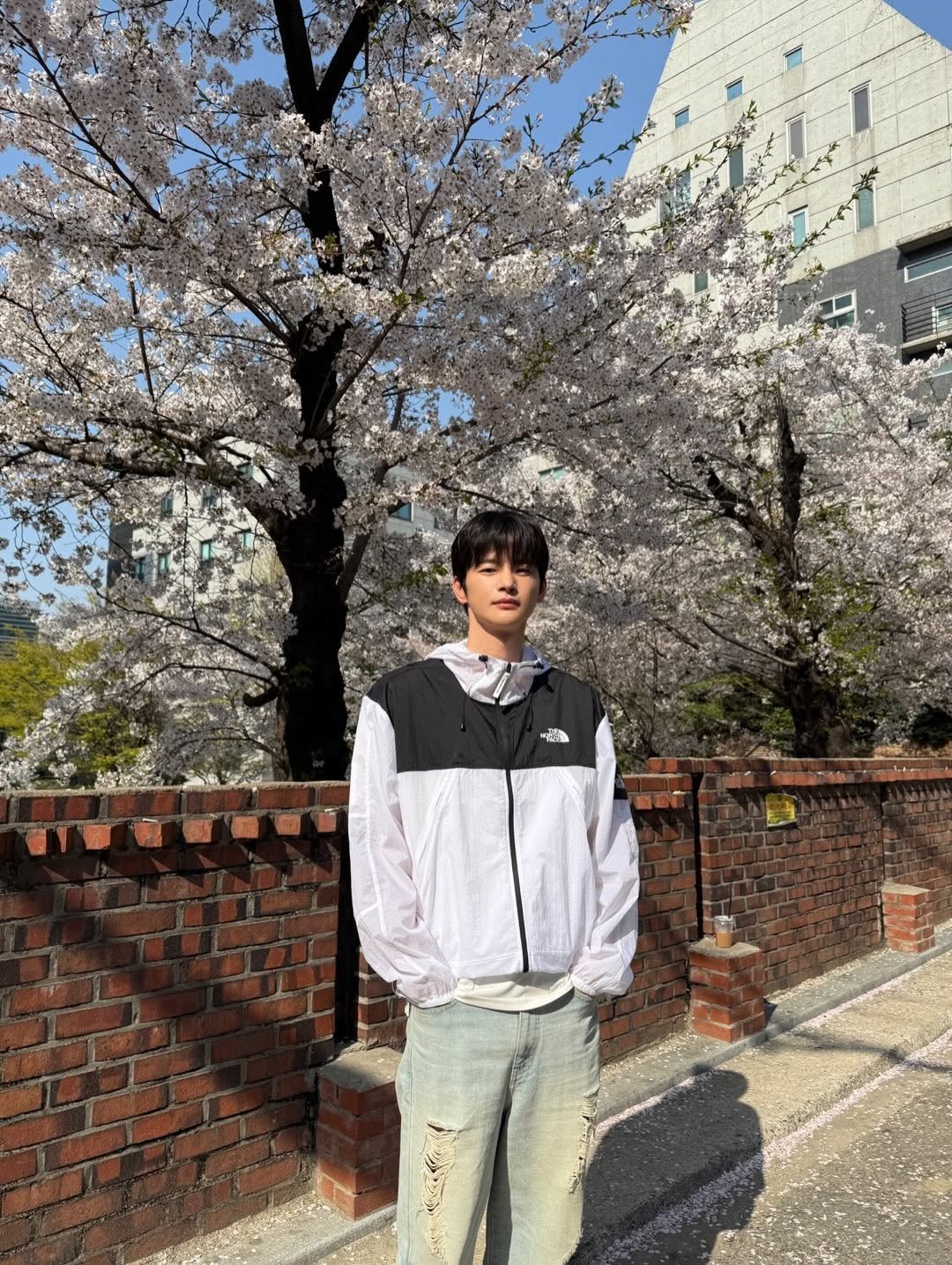 Photo shared by 서인국 Seo In Guk on April 06, 2026 tagging @thenorthface_whitelabel. May be an image of parka, stone-fruit tree, outdoors and text.