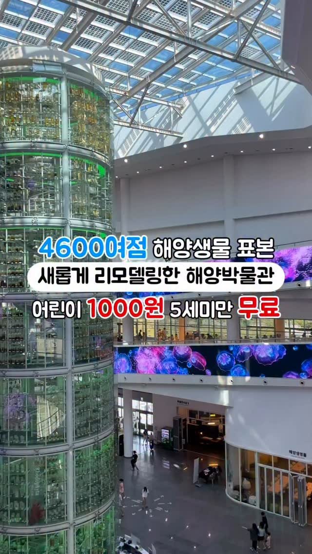 seo_do.a 게시물 이미지: 아이와 꼭 가봐야 할 해양생물 박물관!!🐠

2023년 12월 새롭게 재개관한...