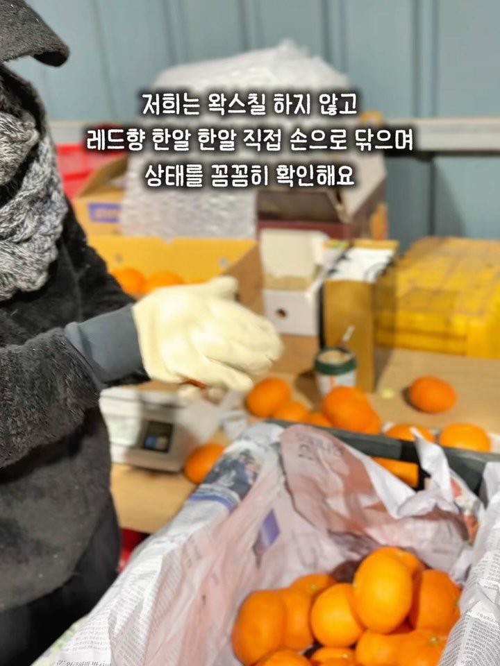 seogwipo_rabonge 게시물 이미지: 설날이 다가오면
어김없이 다시 찾아주시는 분들이 많아요.

주문 주실 때마다
제가...