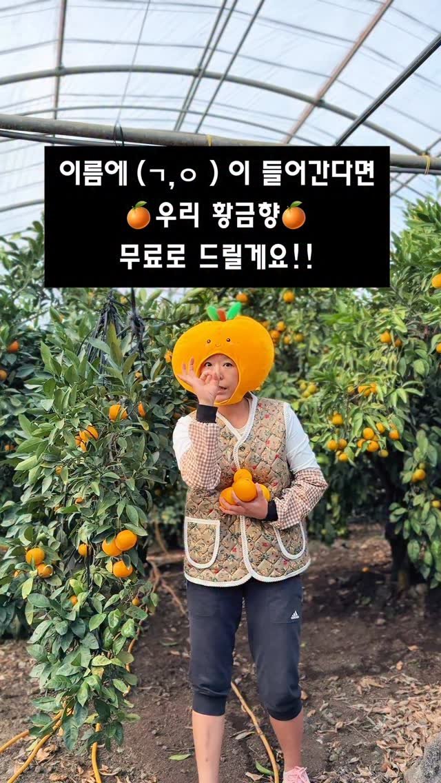 seogwipo_rabonge 게시물 이미지: 황금향 이벤트있어요~🍊

✔️본인 이름에 ㄱ,ㅇ 이 들어간다면
초성으로 댓글...