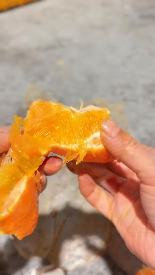 seogwipo_rabonge 게시물 이미지: 설 전 도착 !!
설연휴 마지막 주문은 오늘
2월12일 입니다

내일 2월13일에...