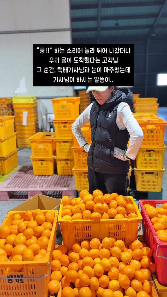 seogwipo_rabonge 게시물 이미지: 어떻게 이런 일이…
우리 귤이 도착했다는 고객님의 연락이 왔다.

요즘 종종
배송...