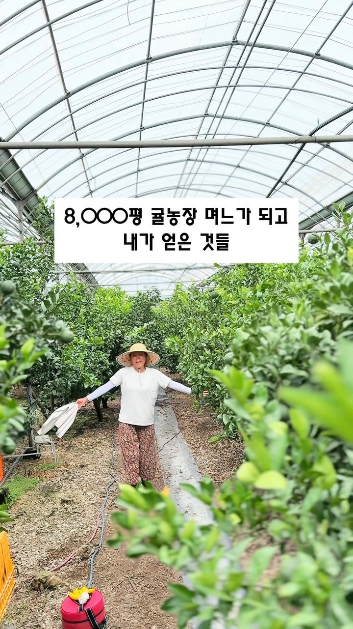 seogwipo_rabonge 게시물 이미지: 처음엔 낯설고, 버거운 날도 많았지만
지금은 흙을 만지며 사는 이 삶이 참...