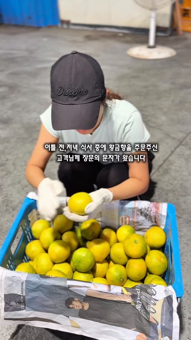 seogwipo_rabonge 게시물 이미지: 이틀 전, 고객님께서 보내주신 긴 문자를 읽고 
가슴이 먹먹해졌습니다.💬

처음...