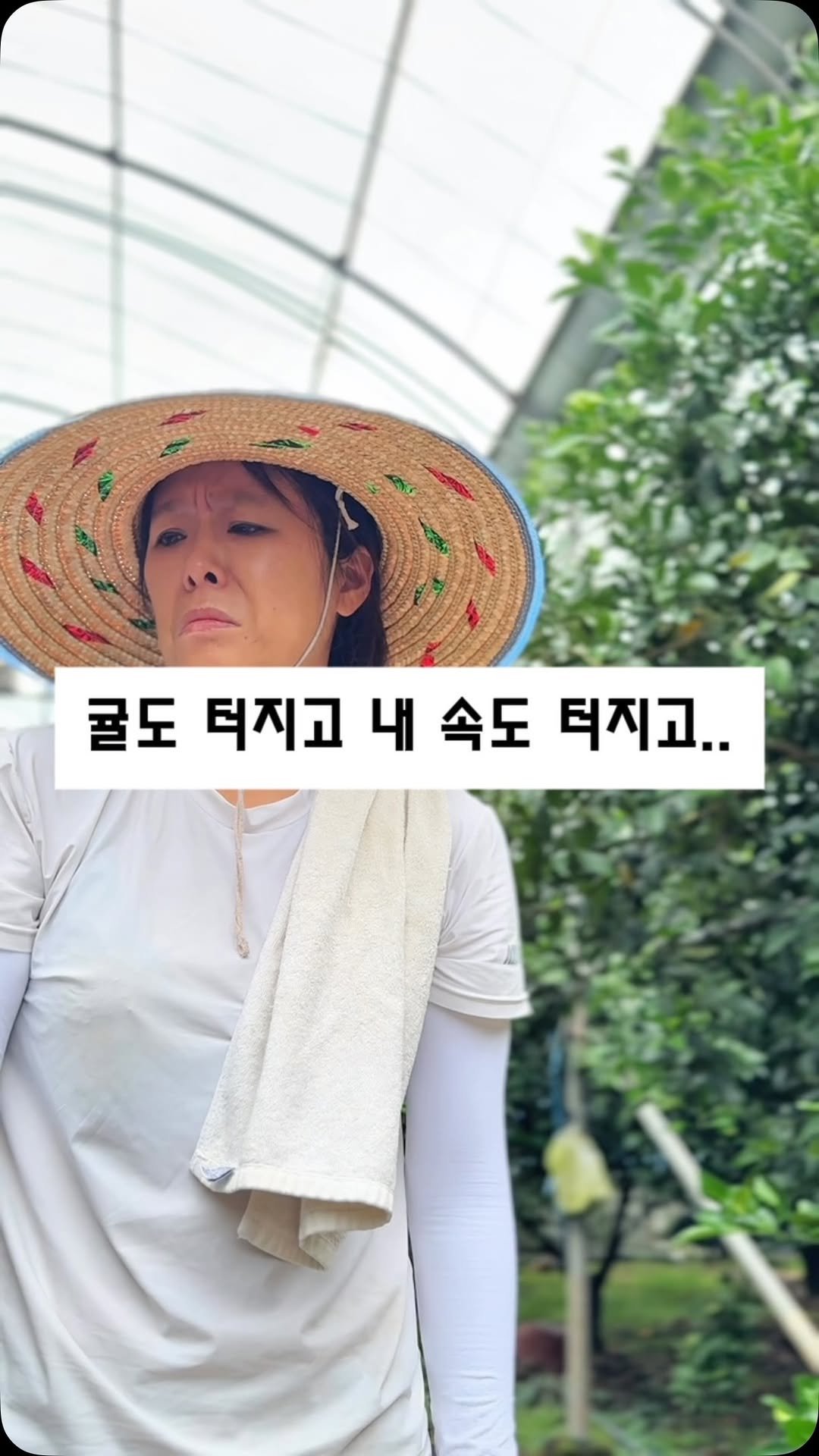 seogwipo_rabonge 게시물 이미지: 3일에 한 번, 농업용수가 나와요
오늘은 다행히 물이 나오는 날이었어요🪣

물 나올...