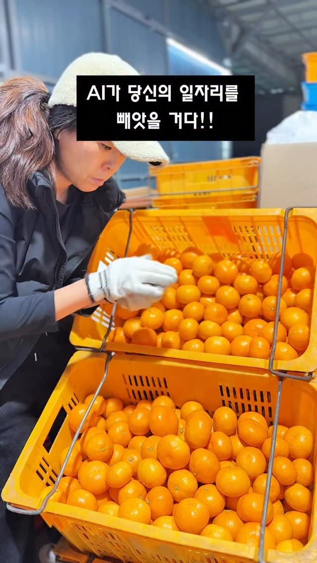 seogwipo_rabonge 게시물 이미지: 그게 도대체 언젠데??
아시분? 🙋‍♀️
심지어
귤따는 모습은 찍지도...