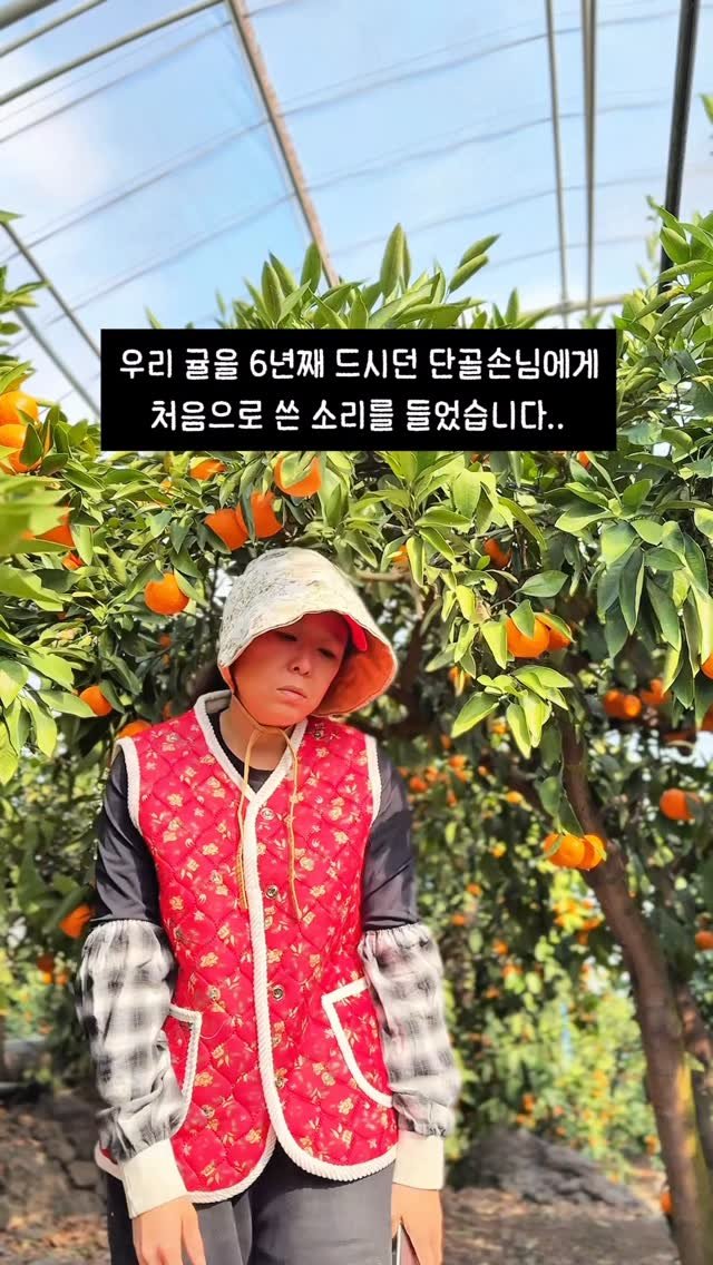 seogwipo_rabonge 게시물 이미지: 내가 귤을 안먹고 말지!!

겨울만 되면 어김없이
우리 귤을 주문해 주시는
어느...