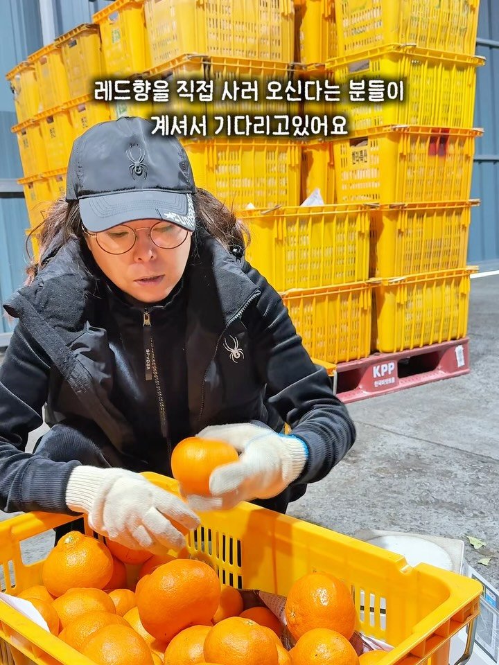 seogwipo_rabonge 게시물 이미지: 택배는 쉬고 있는 설연휴
레드향을 맛보겠다고
직접 찾아와주셨어요

한 입 드시더니...