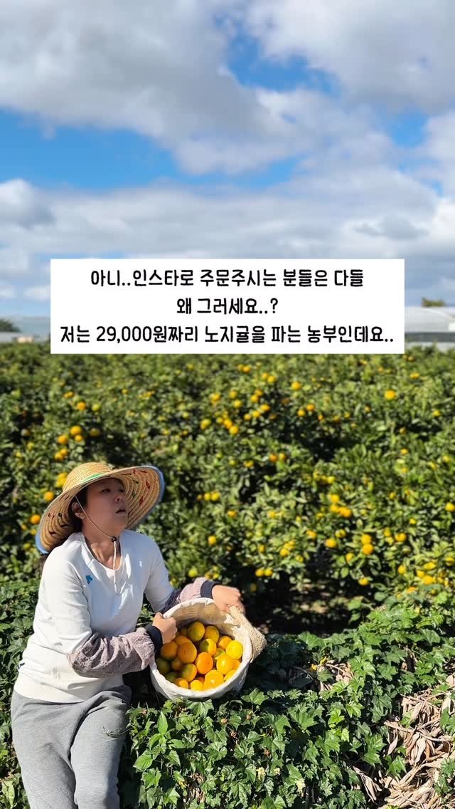 seogwipo_rabonge 게시물 이미지: 인스타를 시작한 지도 어느덧 5년이 넘었어요.
처음엔 그저 귤밭에서의...