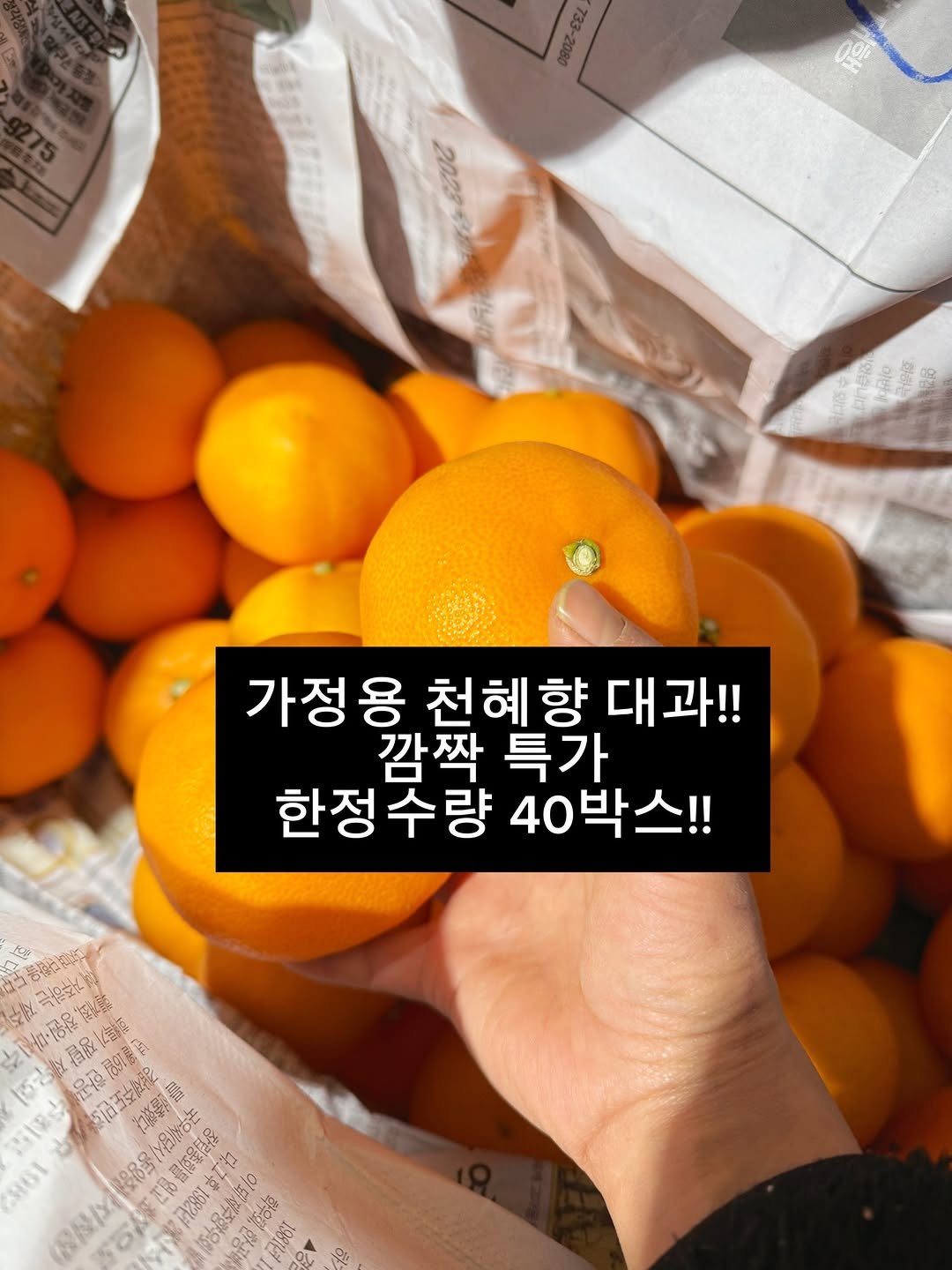 Photo by 서귀포라봉이 | 농부의아내 on February 09, 2026. May be an image of mandarin, pomelo and text.
