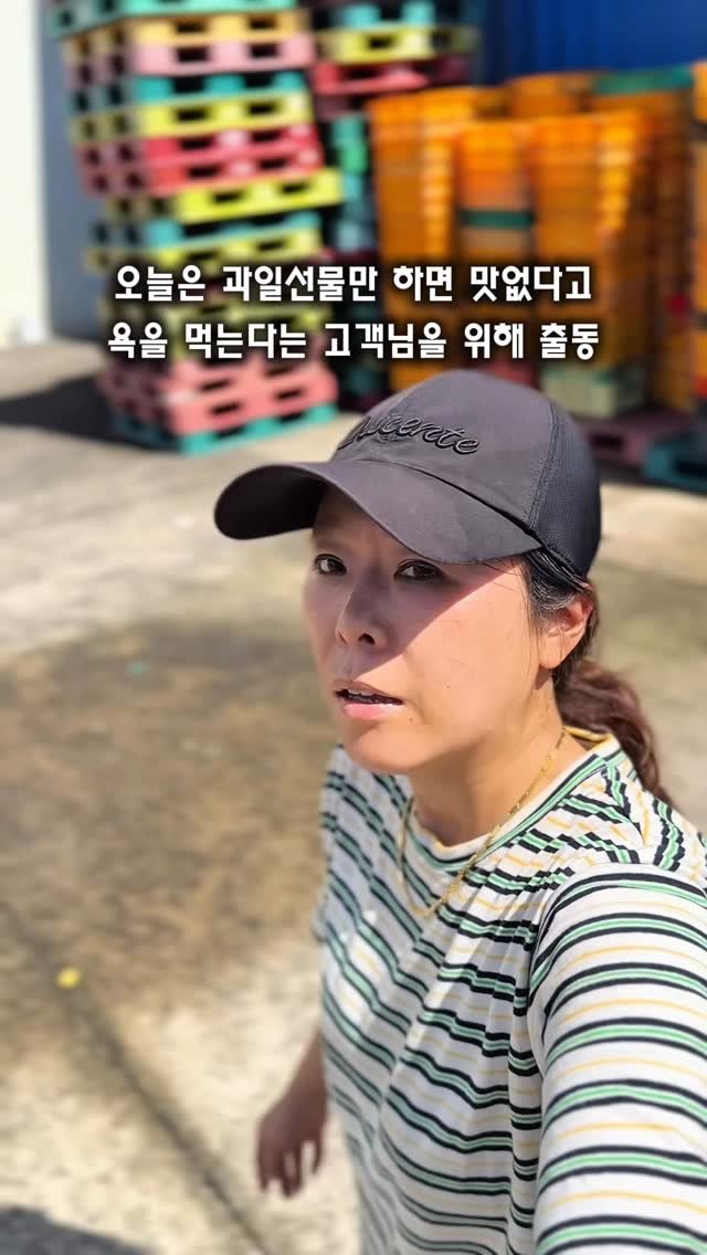 seogwipo_rabonge 게시물 이미지: 과일 선물만 하면 욕먹는다는 고객님의
기를...
