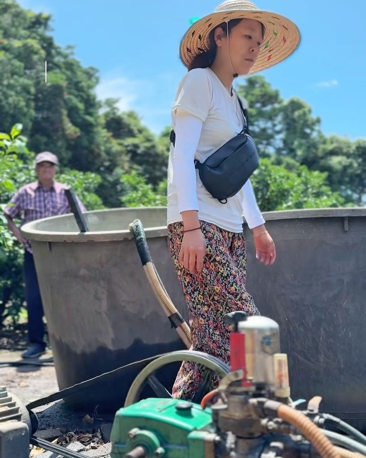 seogwipo_rabonge 게시물 이미지: 이른 새벽 4시,
아버님 어머님과 함께
가장 먼 귤밭에 다녀왔습니다.

아버님은...