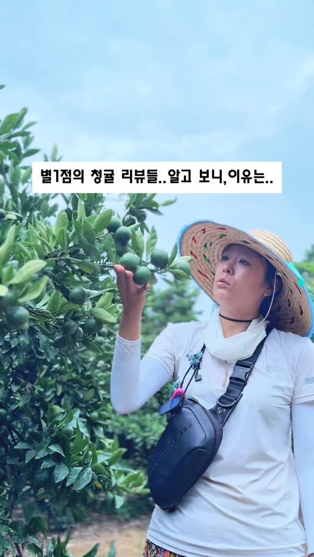 seogwipo_rabonge 게시물 이미지: 올해 처음 청귤 판매를 준비하면서,
혹시 고객님들이 불편해하실 점이 있을까...