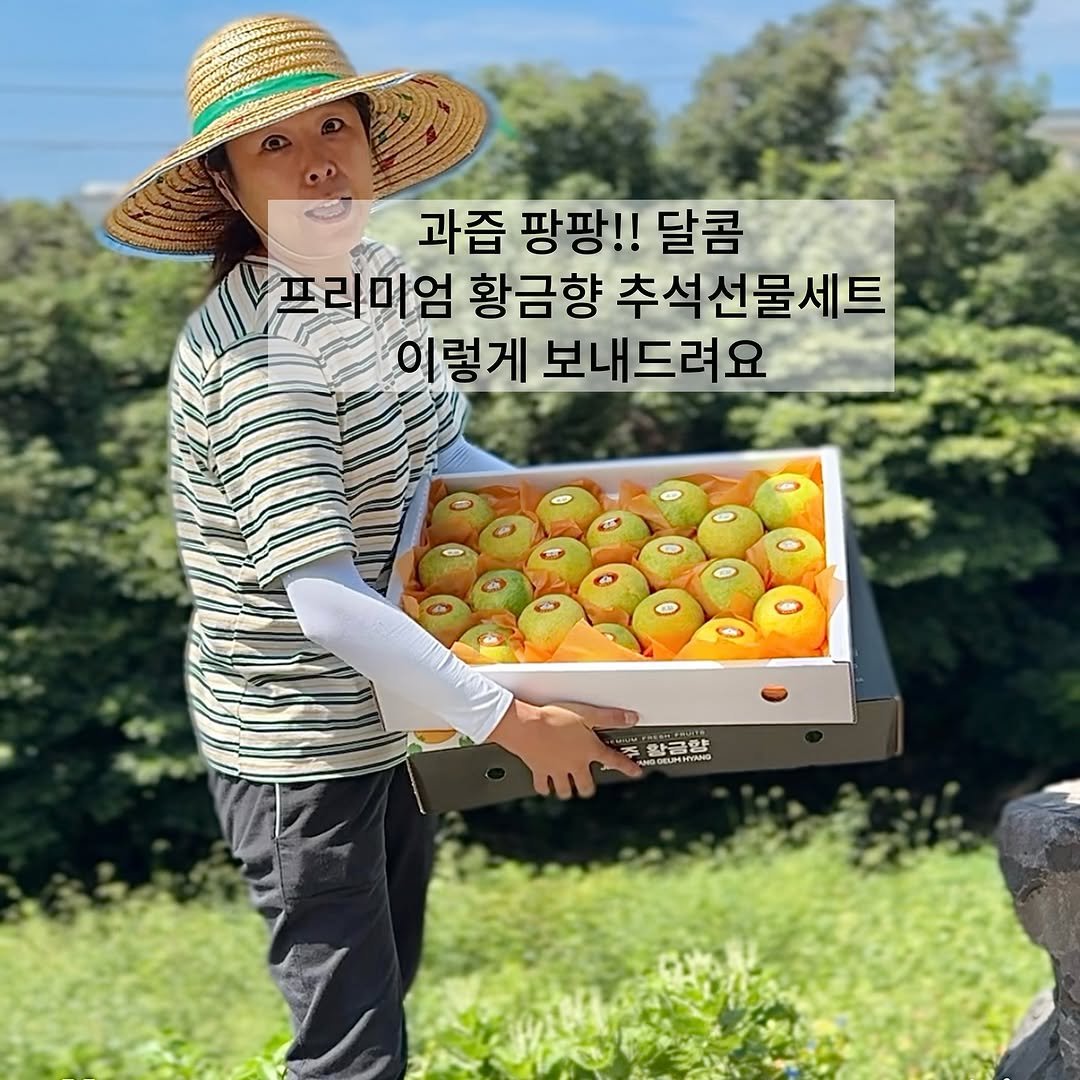 Photo by 서귀포라봉이 | 농부의아내 on September 20, 2025. May be an image of 1 person, vegetable, mango and text that says '과즙 팡팡!! 달콤 프라미엄 미엄 황금향 추석선물세트 이렇게 보내드려요 ደ 왕급양 መ5 অলয় PTymHa OUEY NGEUPEN'.
