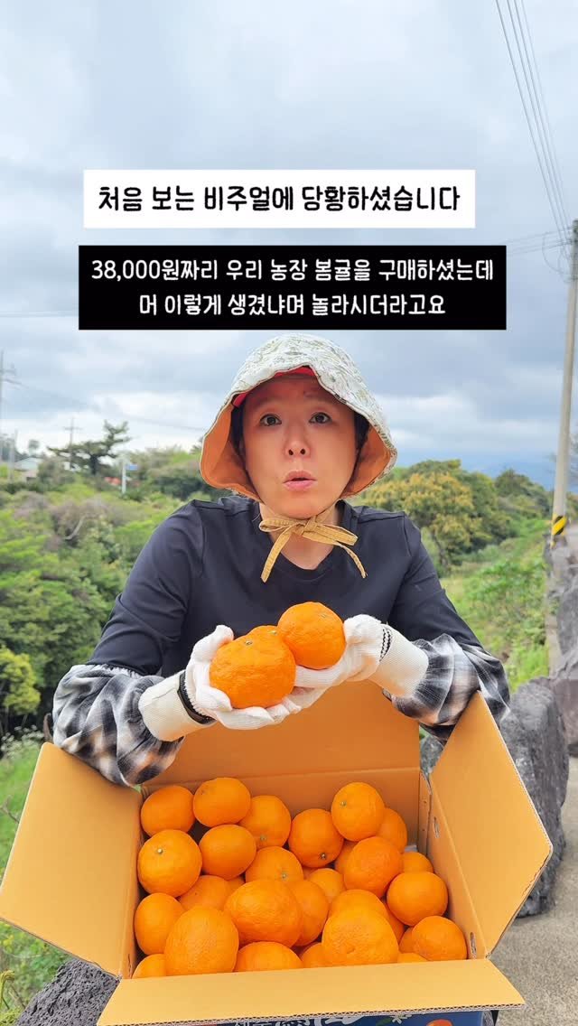 seogwipo_rabonge 게시물 이미지: 사실은요,
조금 당황스러운 모습으로
봄귤이 도착해요🍊

“이건 너무 못생긴 거...