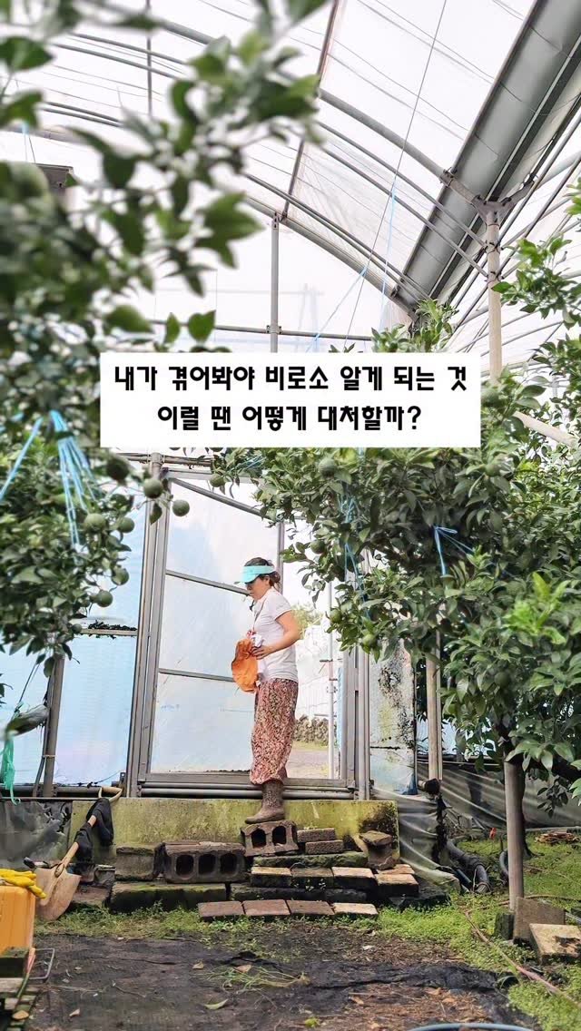 seogwipo_rabonge 게시물 이미지: 그 순간, 예전에 제가 실수했던 일이 떠올랐어요.
천혜향을 주문하신 분께
제가...