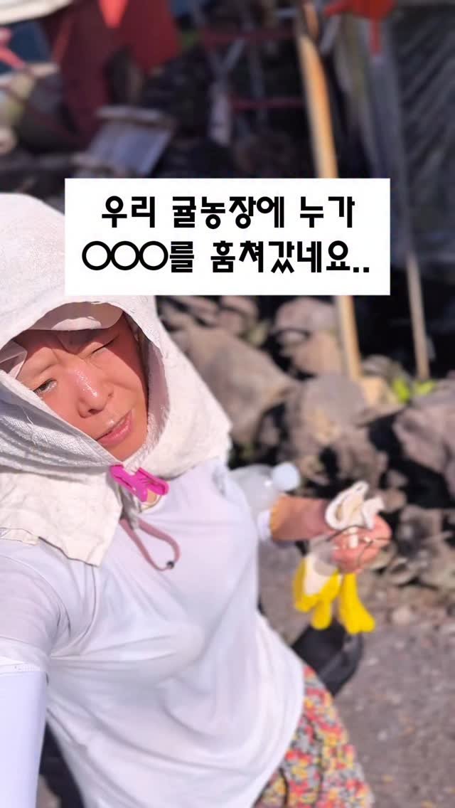 seogwipo_rabonge 게시물 이미지: 귤농장에 자물쇠를 달아야되나..

@seogwipo_rabonge 
@seogwipo_rabonge