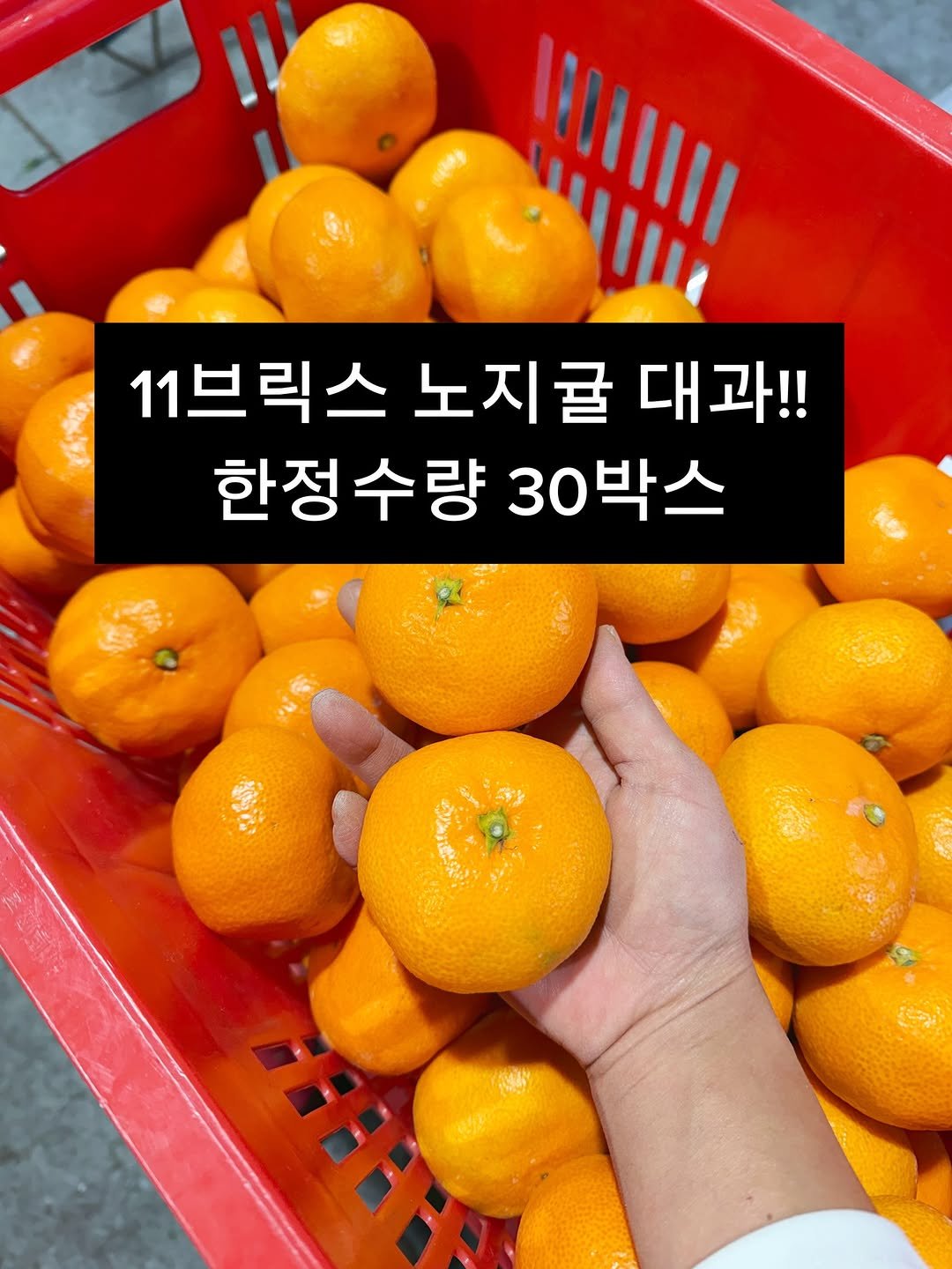 Photo by 서귀포라봉이 | 농부의아내 on December 18, 2025. May be an image of mandarin and text.