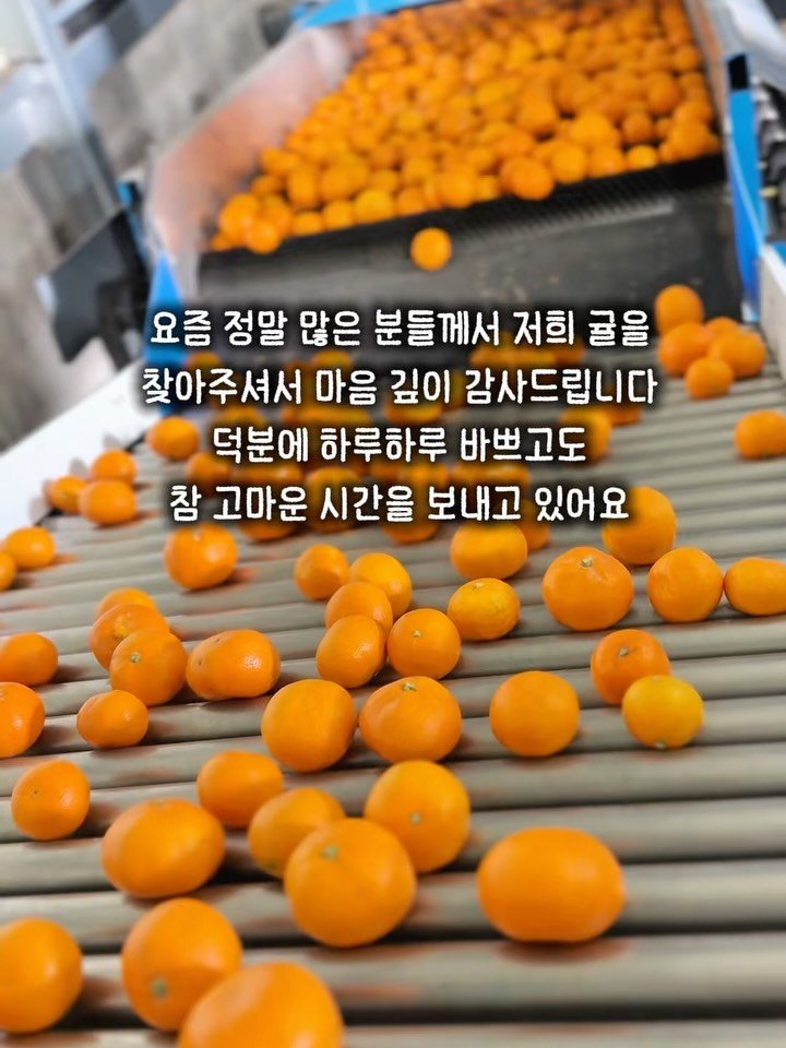 seogwipo_rabonge 게시물 이미지: 요즘 정말 많은 분들께서
저희 귤을 찾아주고 계세요.

주문 알림이 울릴...