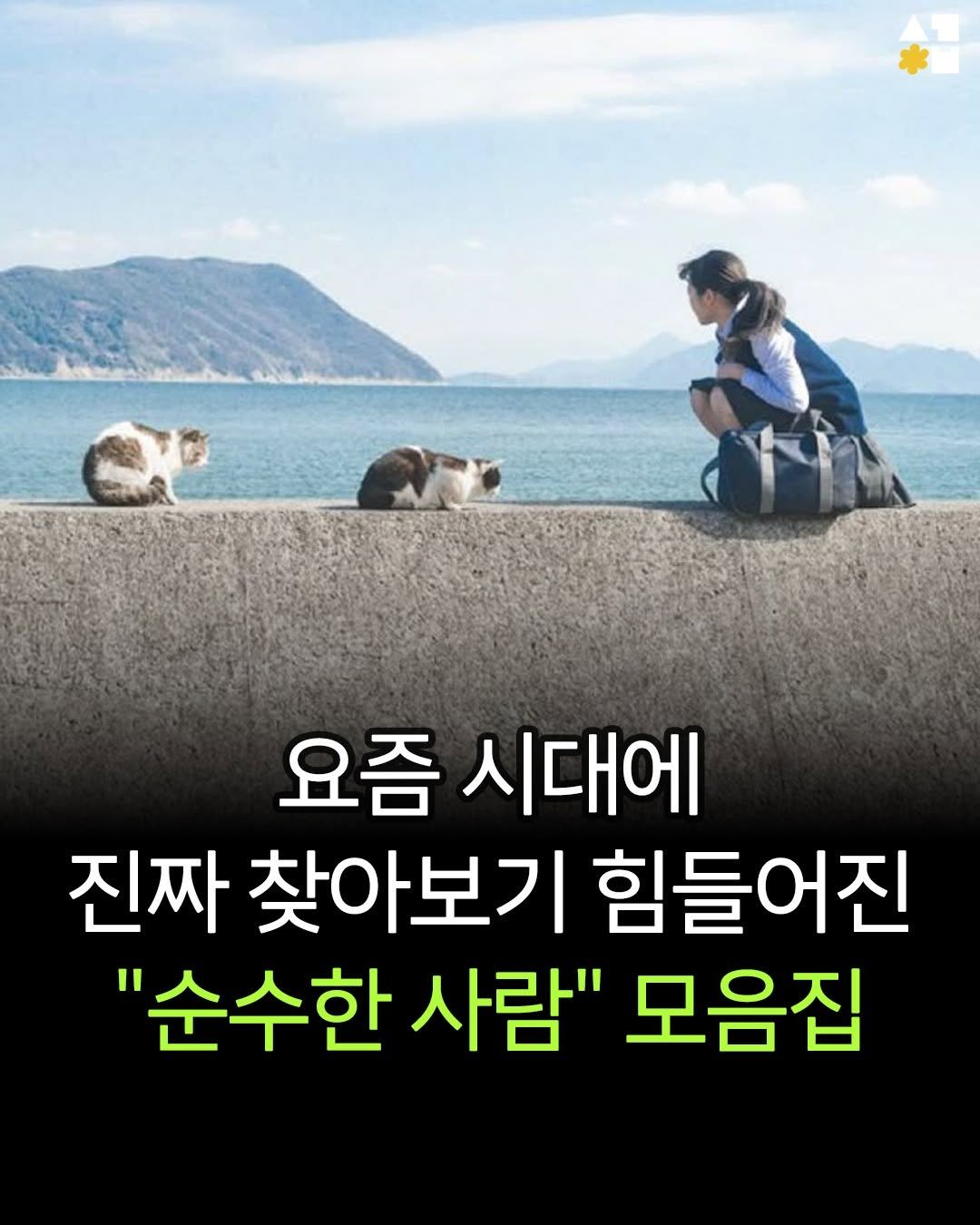seogyobook 게시물 이미지: 요즘 시대에 진짜 찾아보기 힘들어진 "순수한 사람" 모음집