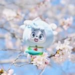 cheongyang.official 프로필 사진