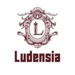 ludensiaofficial 프로필 사진