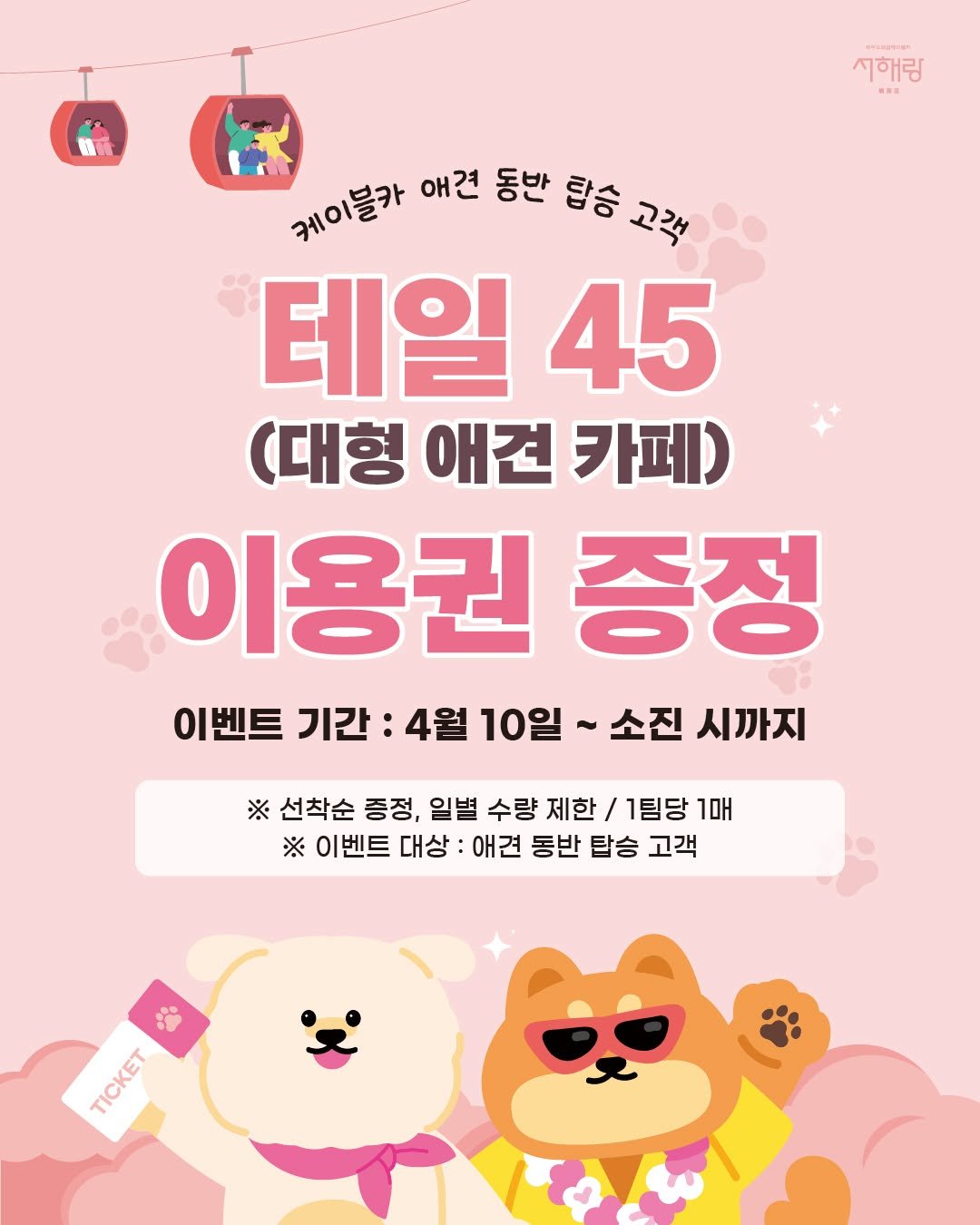 Photo by 제부도해상케이블카 "서해랑" on April 09, 2026. May be an image of Norwich terrier, pie and text that says '시해링 -EN 케이클카 애견 동반 탑승 고객 테일 45 (대형 애견 카페) 이용권 증정 이벤트 기간: 4월 10일 소진 시까지 ※ 선착순 증정, 일별 수량 제한 1팀당 1매 ※ 이벤트 대상 애견 동반 탑승 고객 TICKET TICKET'.