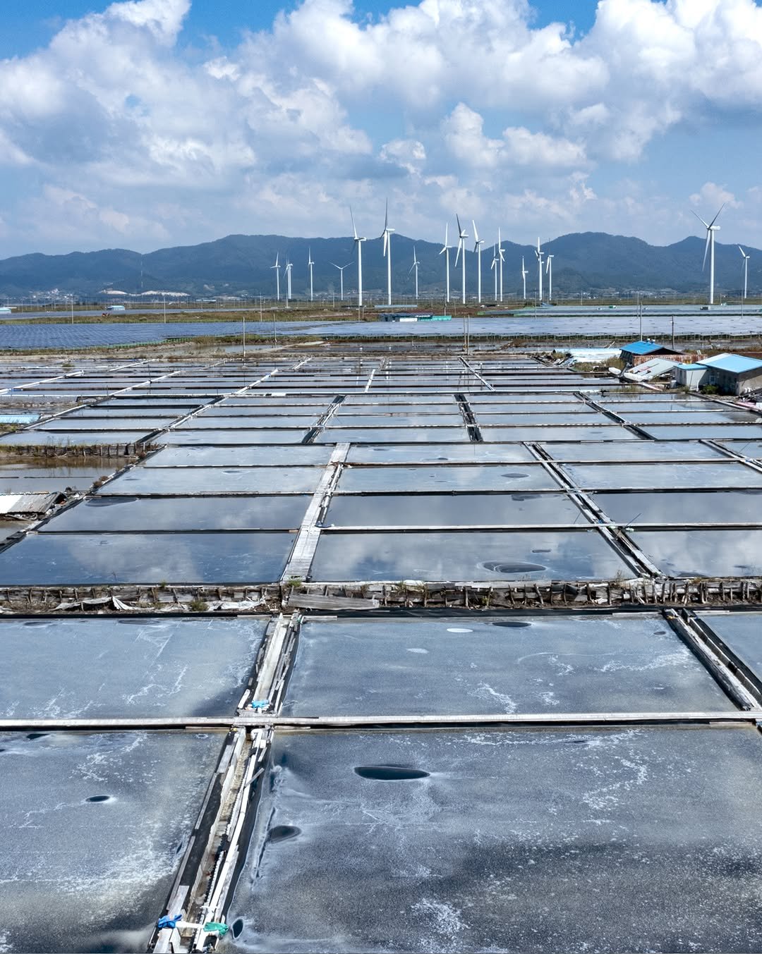 seoilfarm 게시물 이미지: 왜 명인 콩물 두유는 더 깊고 담백할까요?

콩을 아는 사람만이 만들 수 있는...