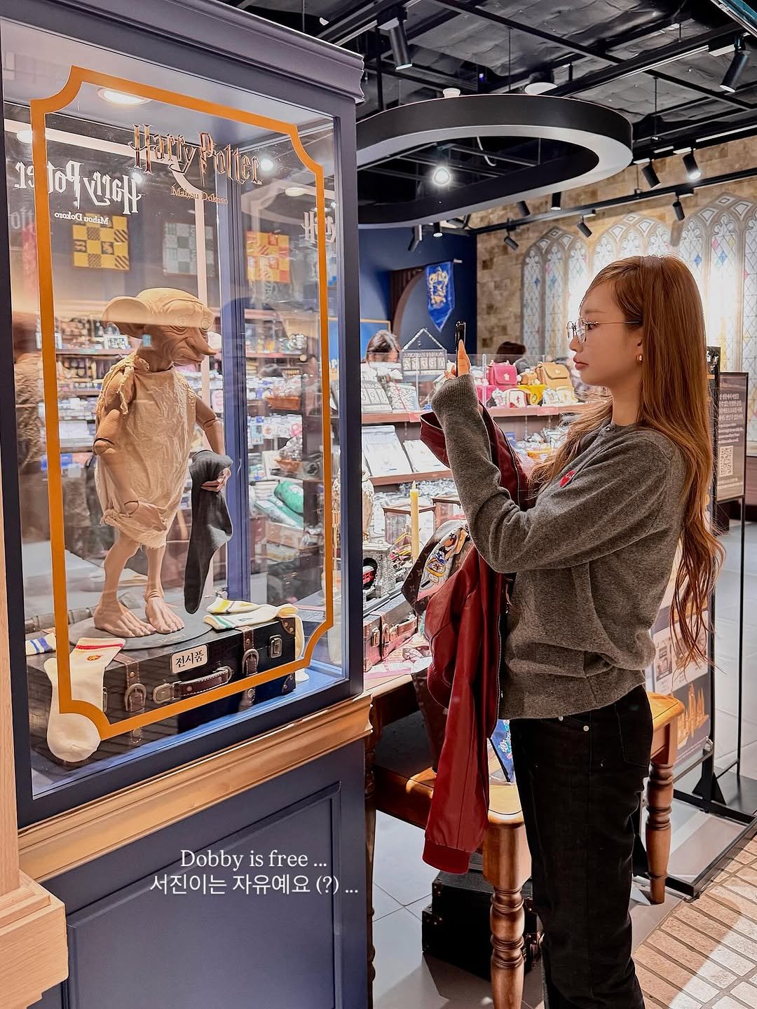 Photo by 서진♡︎ on October 22, 2025. May be an image of display case, hat shop and text that says '19 104 ပနေ ගമമ ኪዊ 富 Malar Drie 전시품 Dobby is free Dobbyisfree... ... 서진이는 서진이는자유예요(?) 자유예요'.
