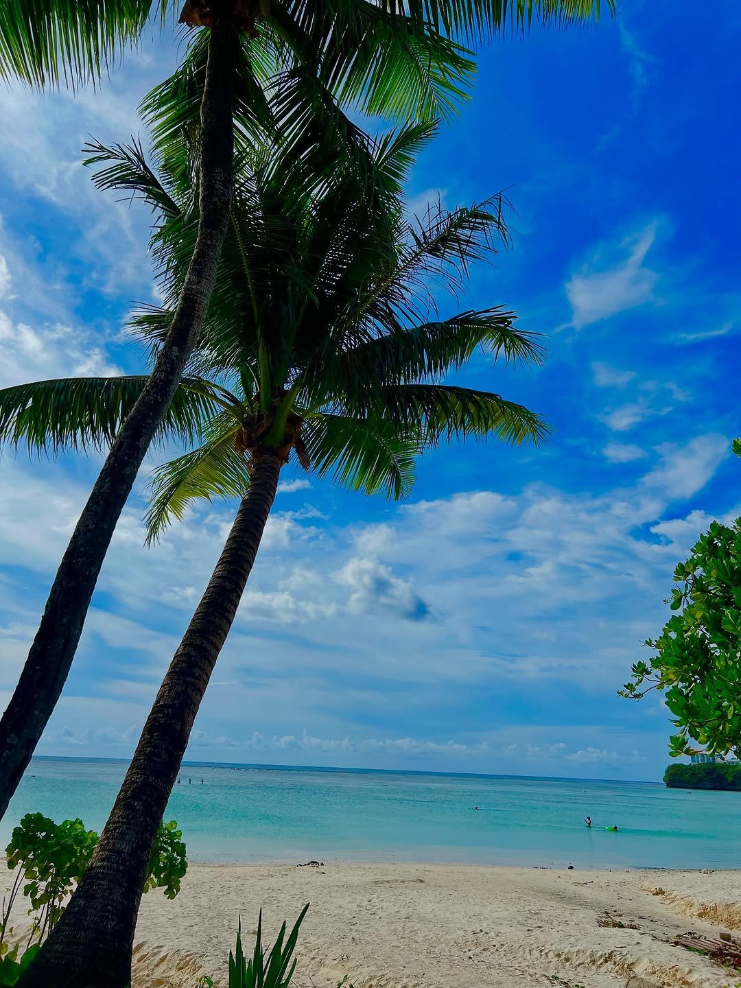 Photo by SEOHYUN on August 28, 2025.