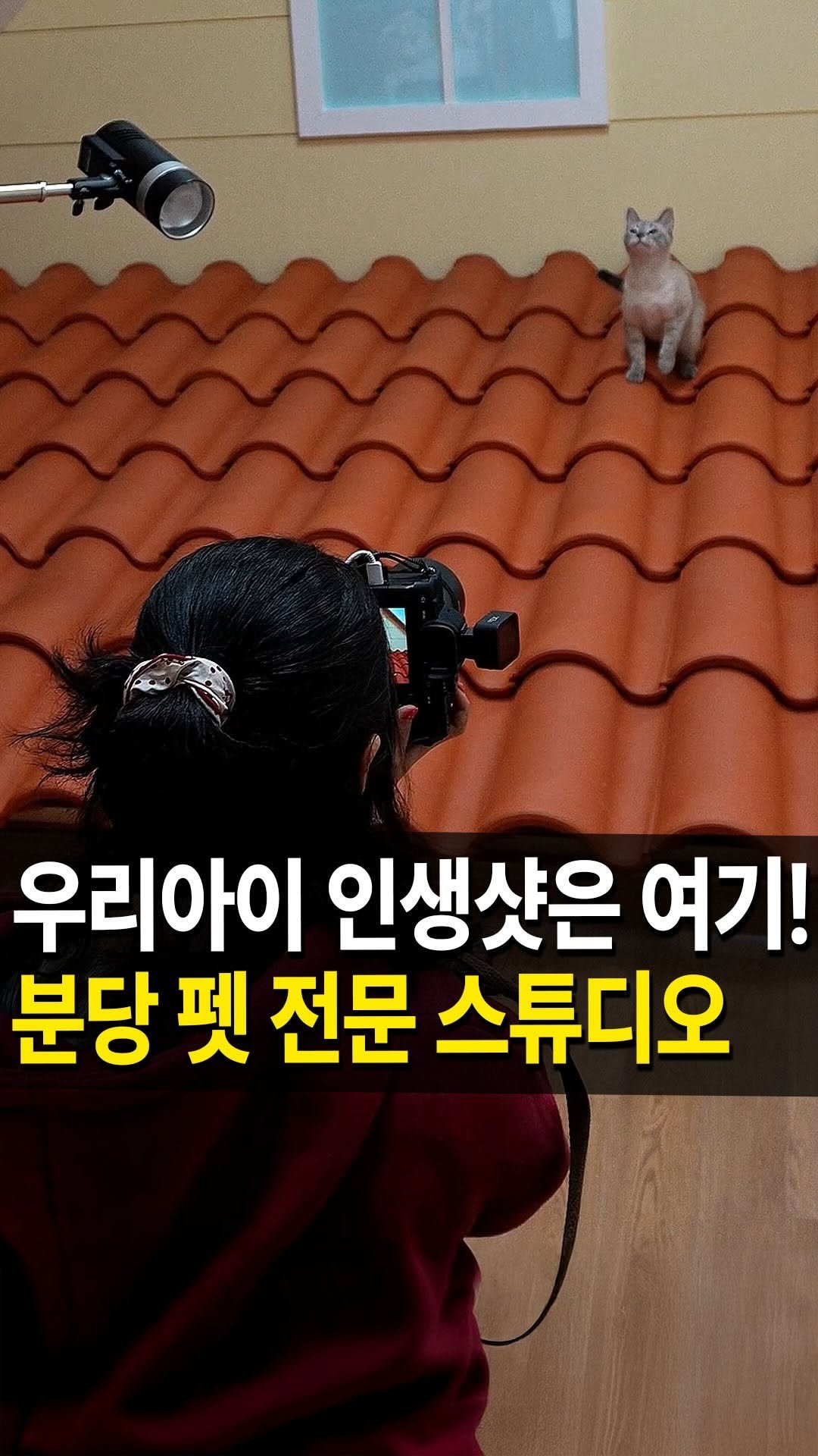 seongnam_bundang 게시물 이미지: ▶️ 15만원 촬영권 댓글이벤트(3팀)

- 15만원 상당 촬영권 3팀 증정

-...