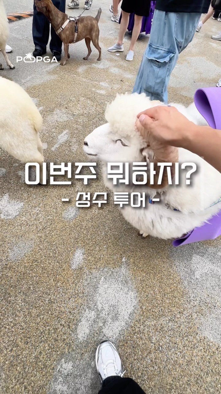 seongsu_bible 게시물 이미지: [팝가픽 추천] 이번 주 성수 가는 분들 꼭 저장하세요 🚨

🖤 성분에디터
📍...