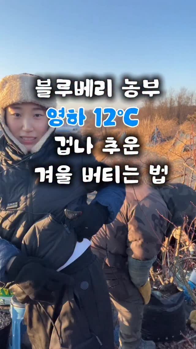 seonhyangwon_blueberry 게시물 이미지: 누가 농부는 농한기에 쉰다했나...
영하 12도에서 일하는 농부👨‍🌾
살기위한 필수템 소개해요🥶