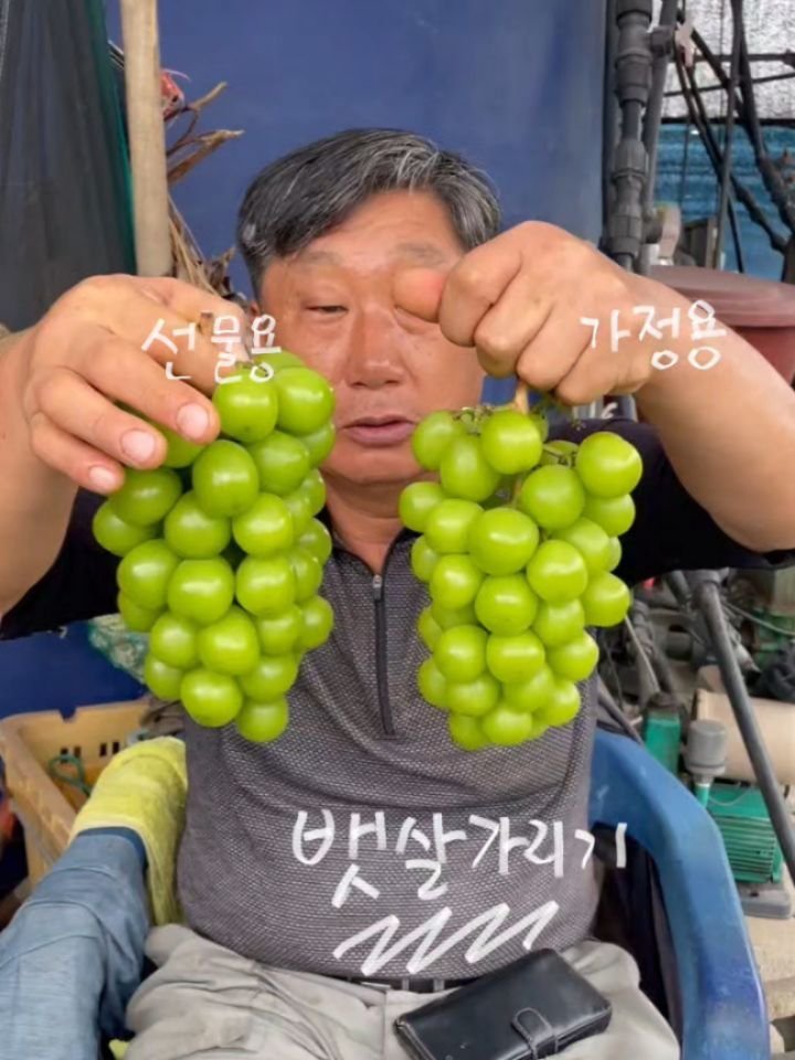seonhyangwon_blueberry 게시물 이미지: 선향원에서 소개드리는 2번째 과일🍀

감귤의 상큼하고 달콤한 행복을
어떻게...