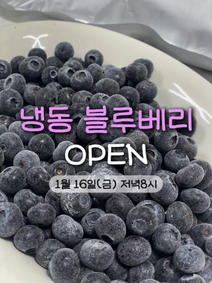 seonhyangwon_blueberry 게시물 이미지: 오래 기다리셨죠…🤍
냉동 블루베리 문의를 정말 많이 주셨는데
먼저 죄송한 말씀부터...