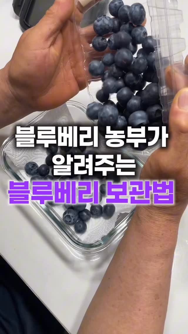 seonhyangwon_blueberry 게시물 이미지: 설마… 블루베리 그대로 넣으신 거 아니죠? 😳

택배 용기는 신선도를 위해 구멍이...