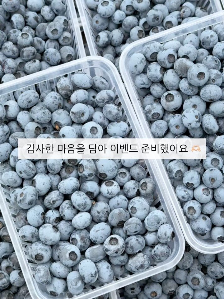 seonhyangwon_blueberry 게시물 이미지: 오늘부터 진짜 장마가 시작이네요! ☔️

장마가 작년보다 늦게 찾아와 준...