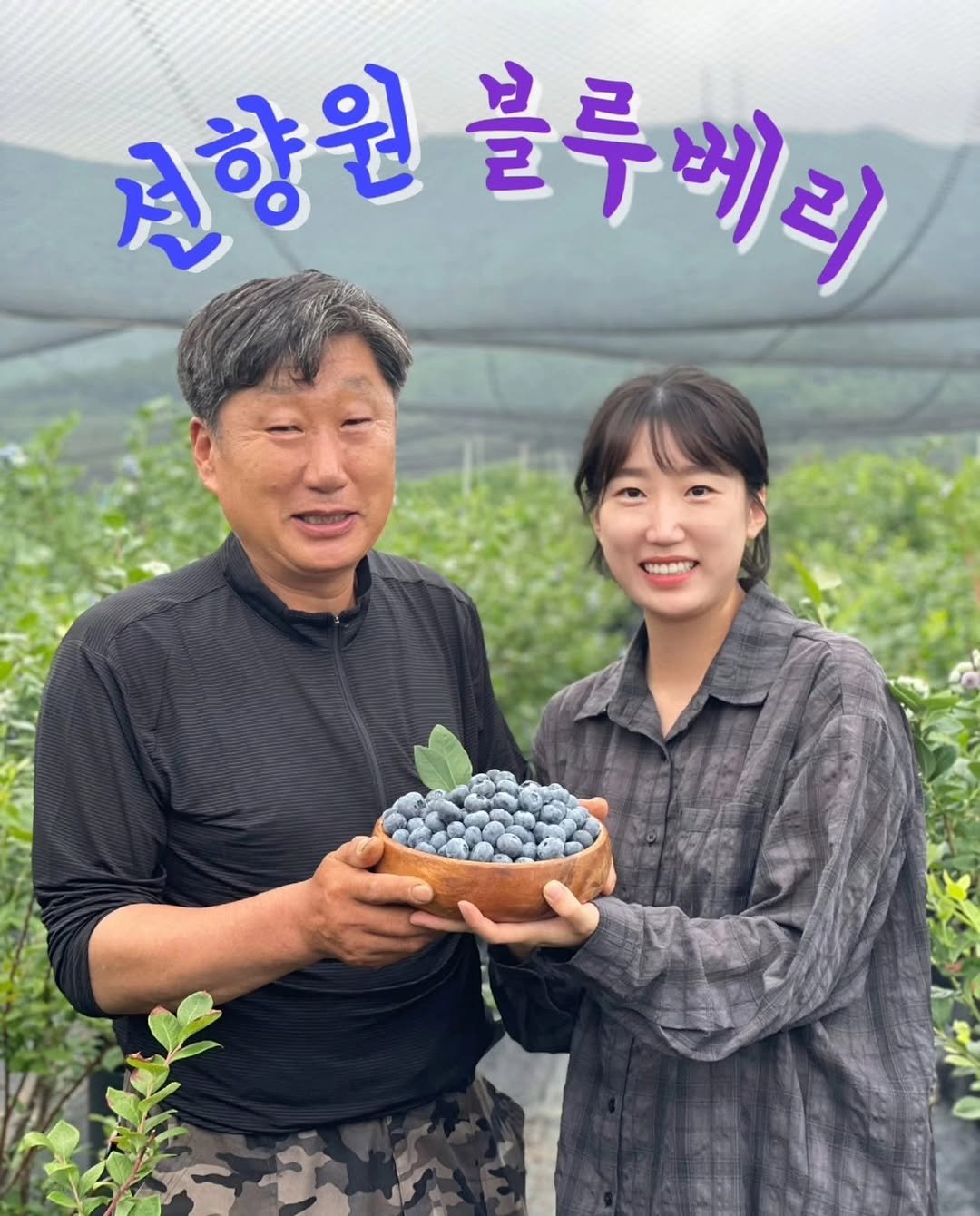 seonhyangwon_blueberry 게시물 이미지: 요즘, 농장에 나가면
하루가 어떻게 가는지도 모르고 바쁘게...